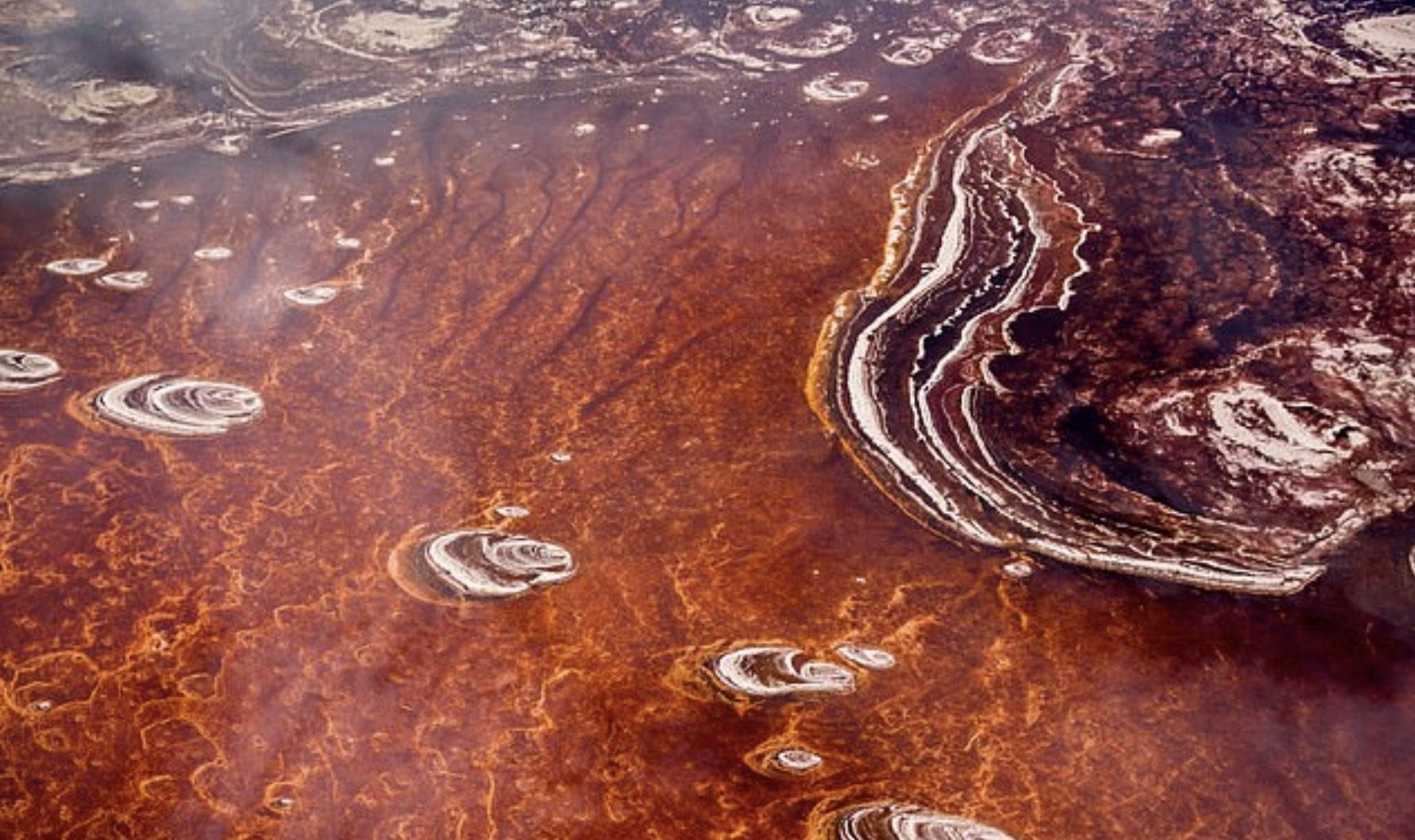 Озеро Натрон є однією з найбільш смертоносних водойм у світі Озеро Натрон є однією з найбільш смертоносних водойм у світі