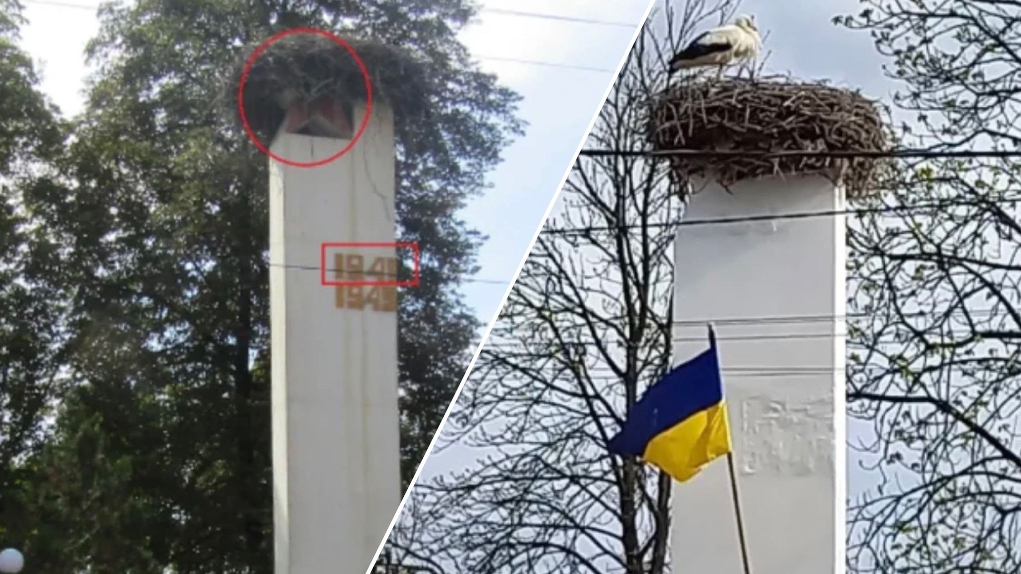 На Закарпатті декомунізували радянську зірку, але зберегли гніздо лелеки - 3 апреля 2023 - Pets На Закарпатті декомунізували радянську зірку, але зберегли гніздо лелеки - 3 апреля 2023 - Pets