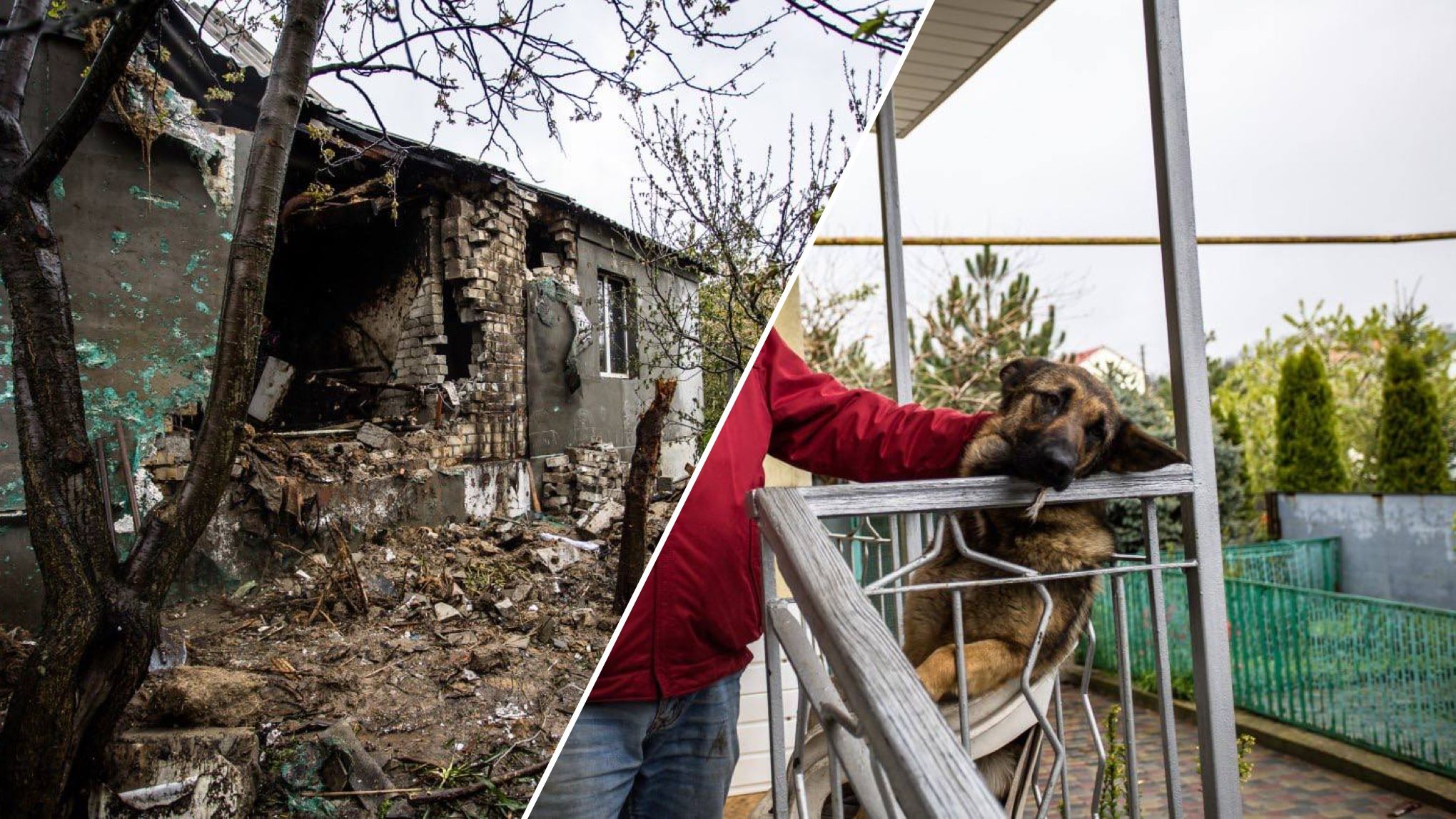 Овчарка бросилась будить хозяев в Днепре перед попаданием в их дом Овчарка бросилась будить хозяев в Днепре перед попаданием в их дом