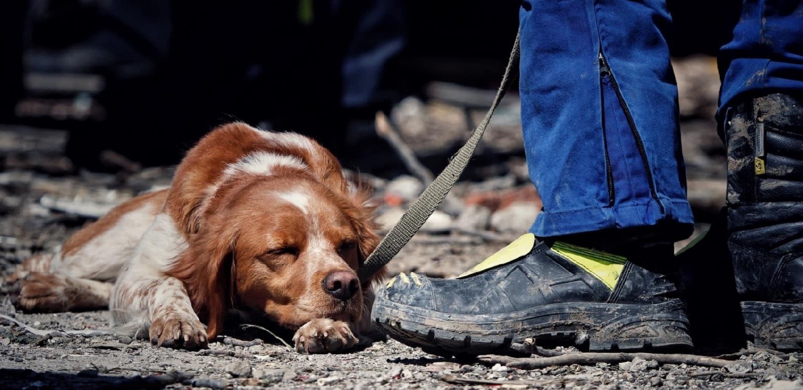 Ниндзя на завалах дома в Умани Ниндзя на завалах дома в Умани