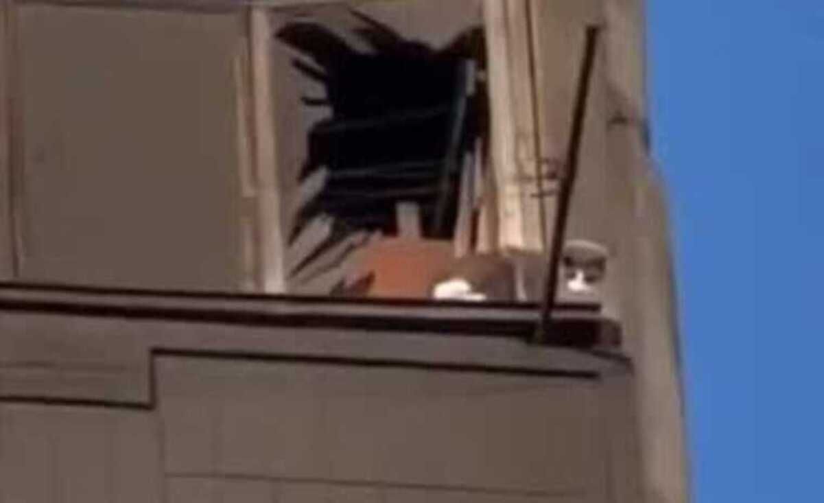 Из разрушенного дома в Умани достали котика Из разрушенного дома в Умани достали котика