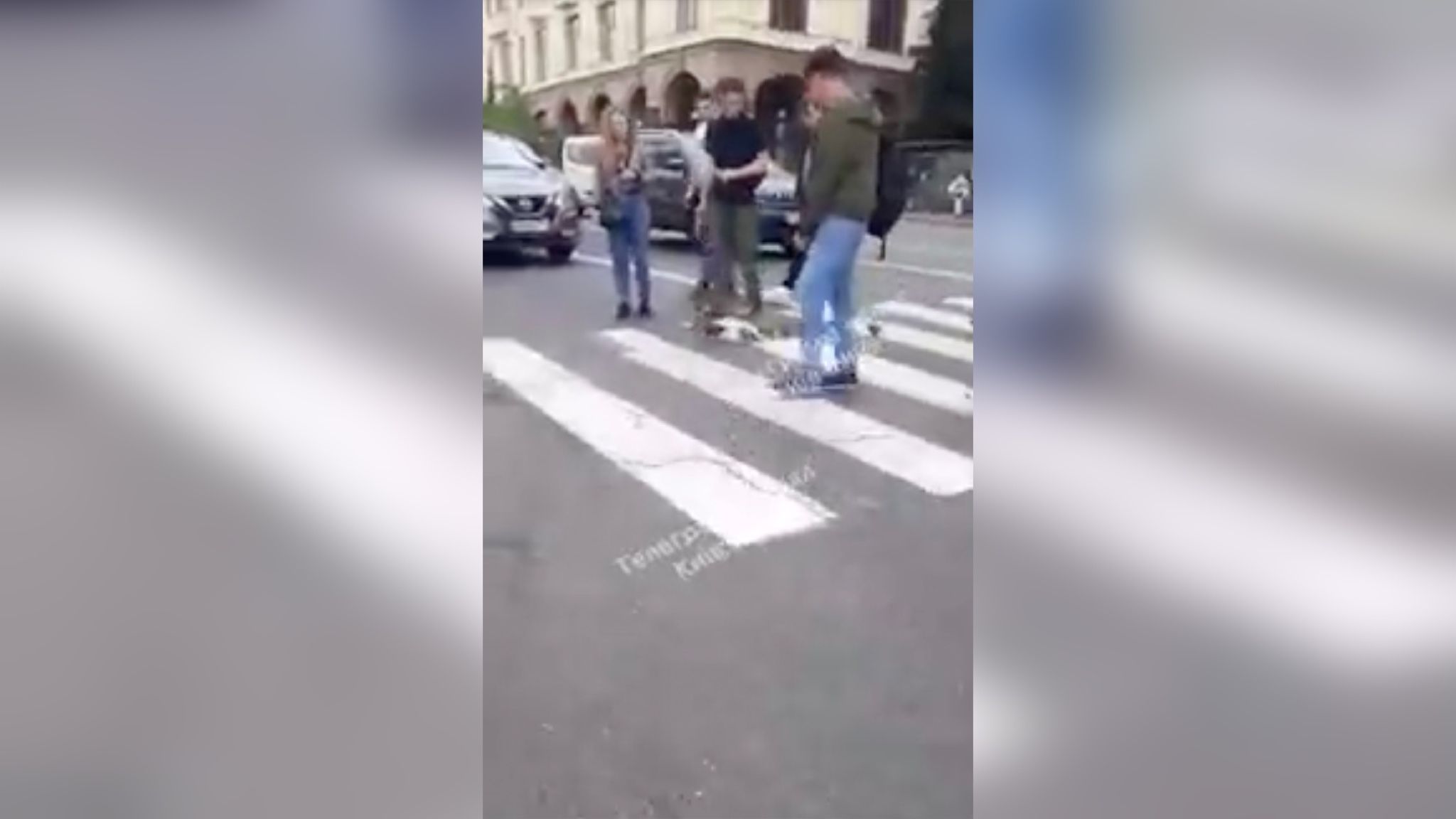 Порятунок качиного виводка в Києві Порятунок качиного виводка в Києві