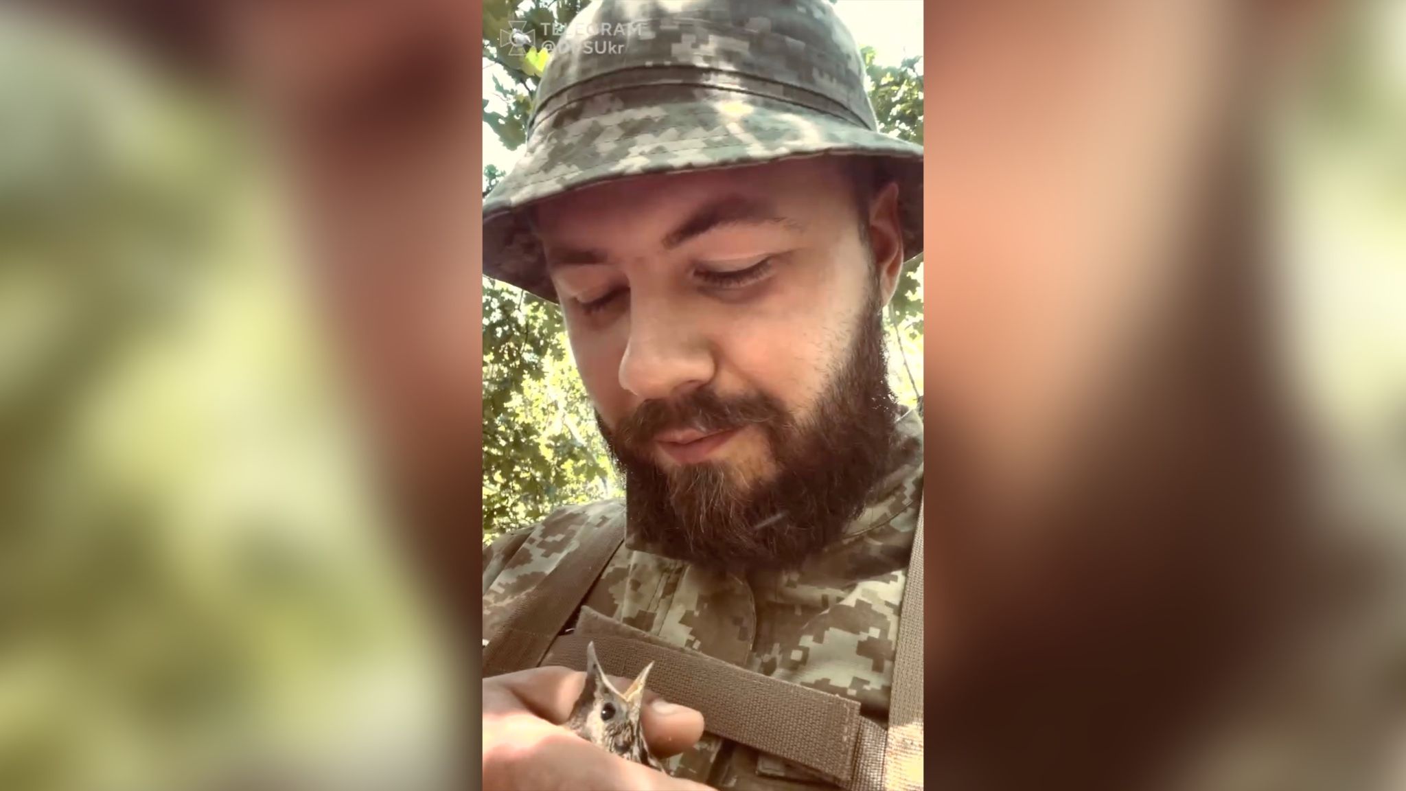 Як прикордонник врятував пташеня, яке випало з гнізда Як прикордонник врятував пташеня, яке випало з гнізда