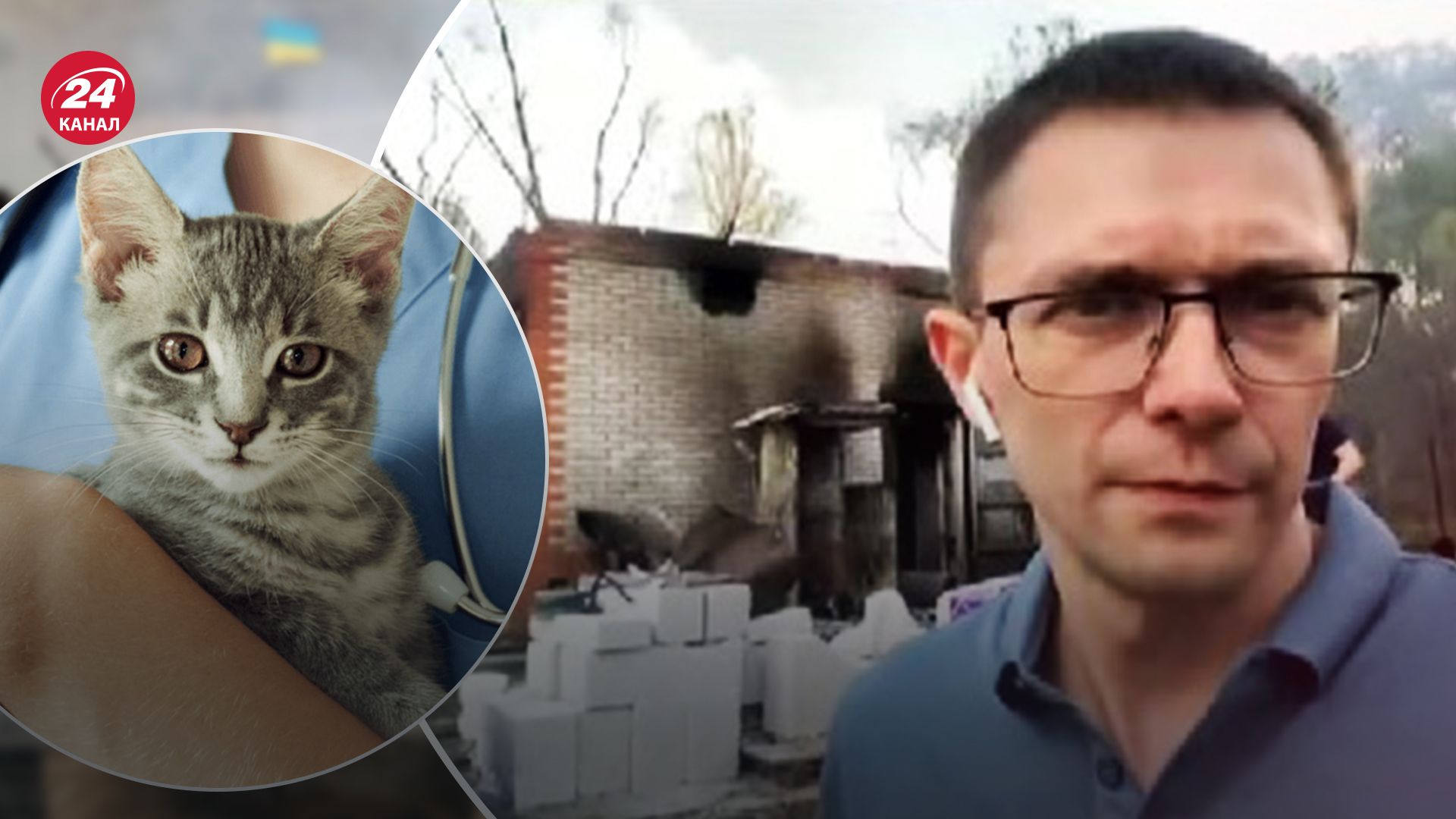 Російська ракета поцілила у ветклініку Російська ракета поцілила у ветклініку