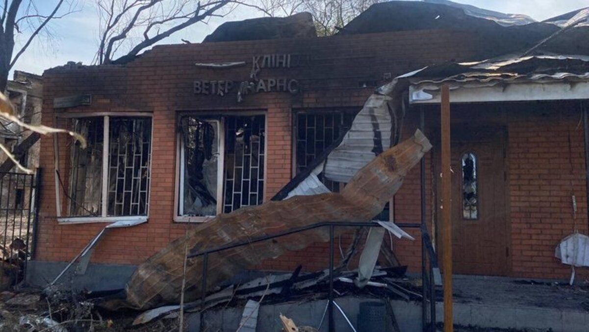 У ветклініці Дніпра розповіли як пережили ракетний удар 26 травня У ветклініці Дніпра розповіли як пережили ракетний удар 26 травня