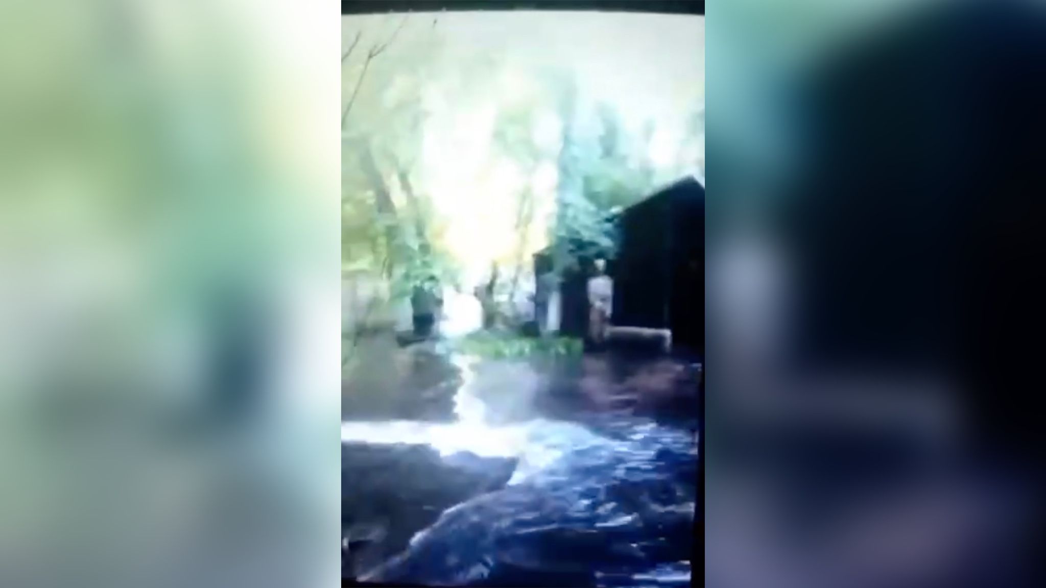 Окупанти проігнорували евакуацію тваринок в Новій Каховці Окупанти проігнорували евакуацію тваринок в Новій Каховці