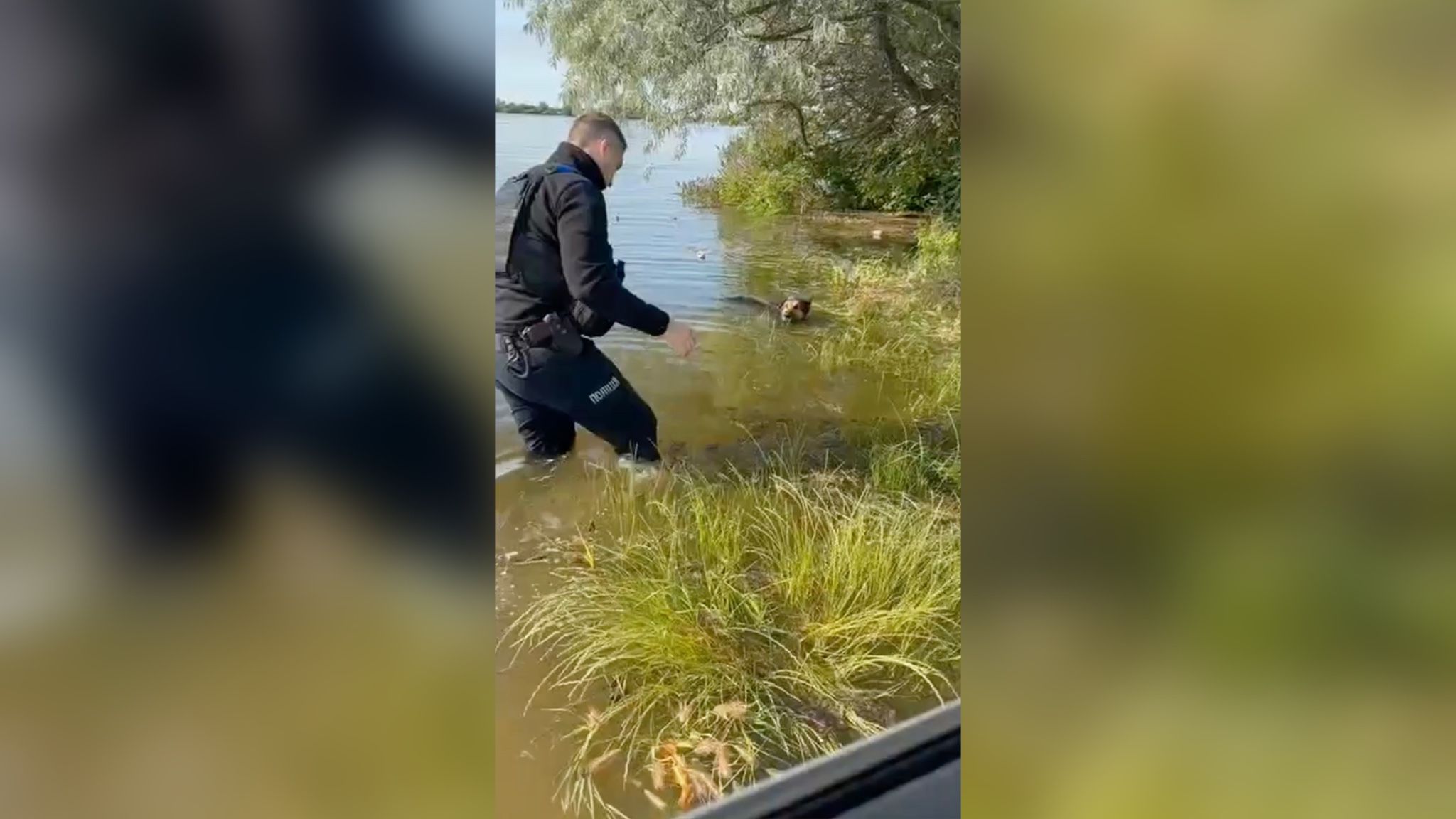 Полицейский спас собаку в Херсоне Полицейский спас собаку в Херсоне