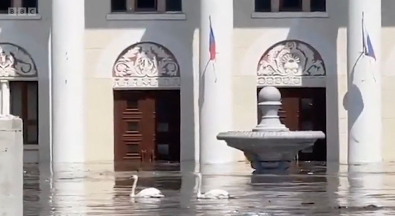 В Новой Каховке плавают лебеди В Новой Каховке плавают лебеди