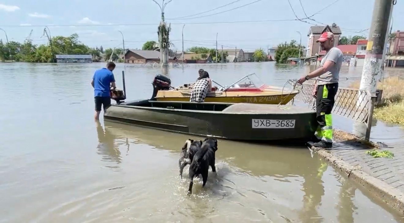 Мужчина протягивает руку собаке, которая боится выходить из лодки