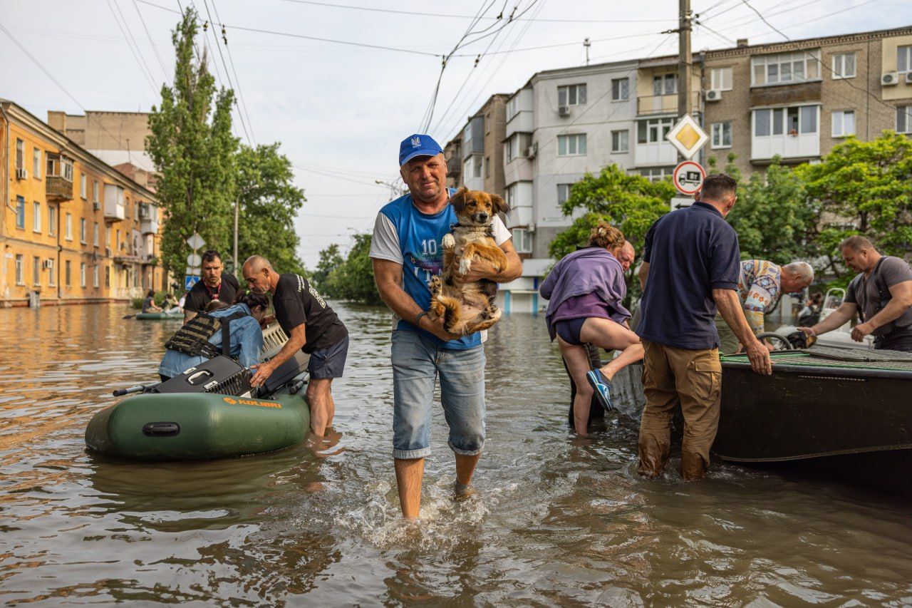 В результате подрыва Каховской ГЭС пострадало много животных В результате подрыва Каховской ГЭС пострадало много животных