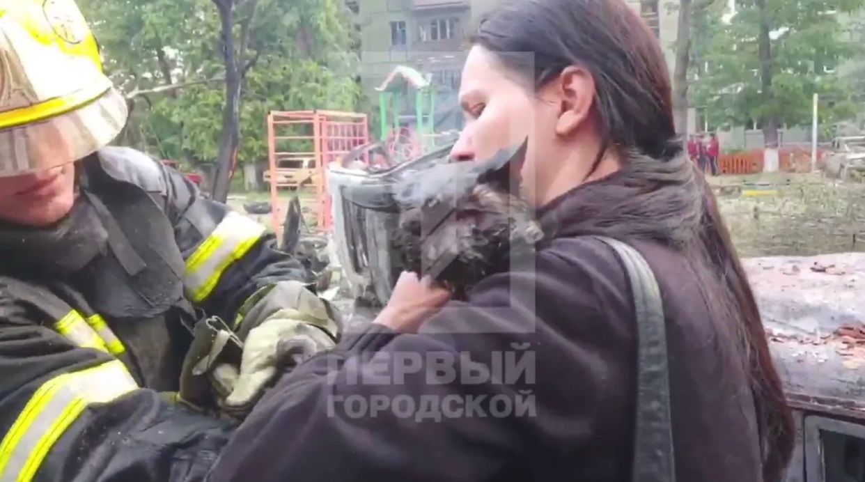 В Кривом Роге спасли кота Шамиля В Кривом Роге спасли кота Шамиля