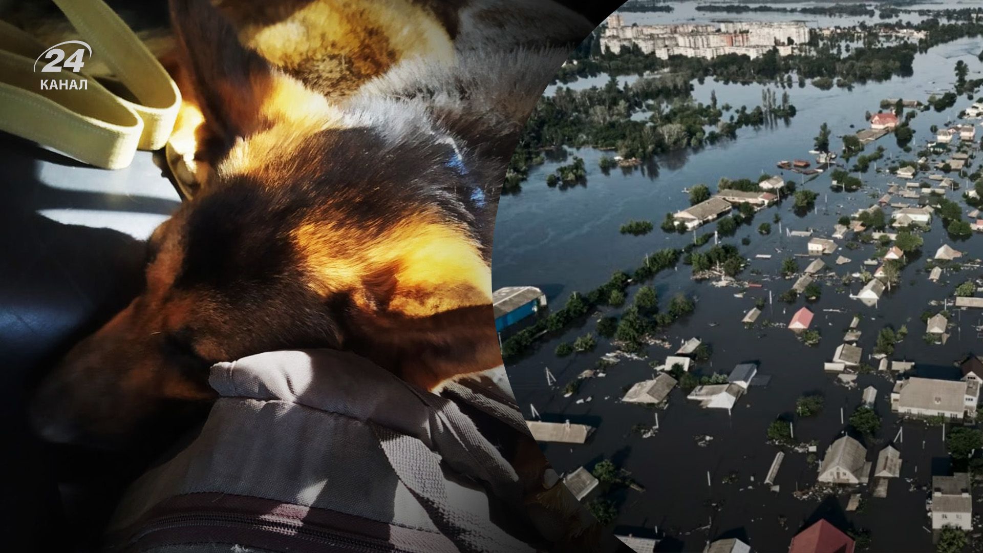 Мужчина не покинул своего друга Мужчина не покинул своего друга