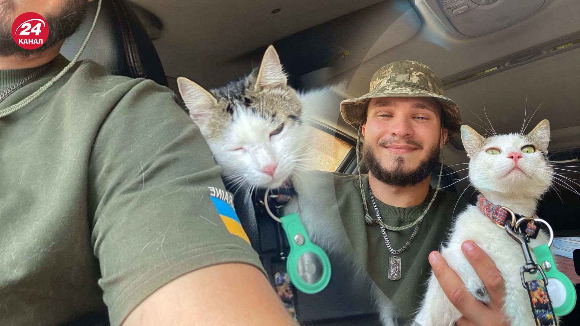 Кот Шайба нашелся Кот Шайба нашелся