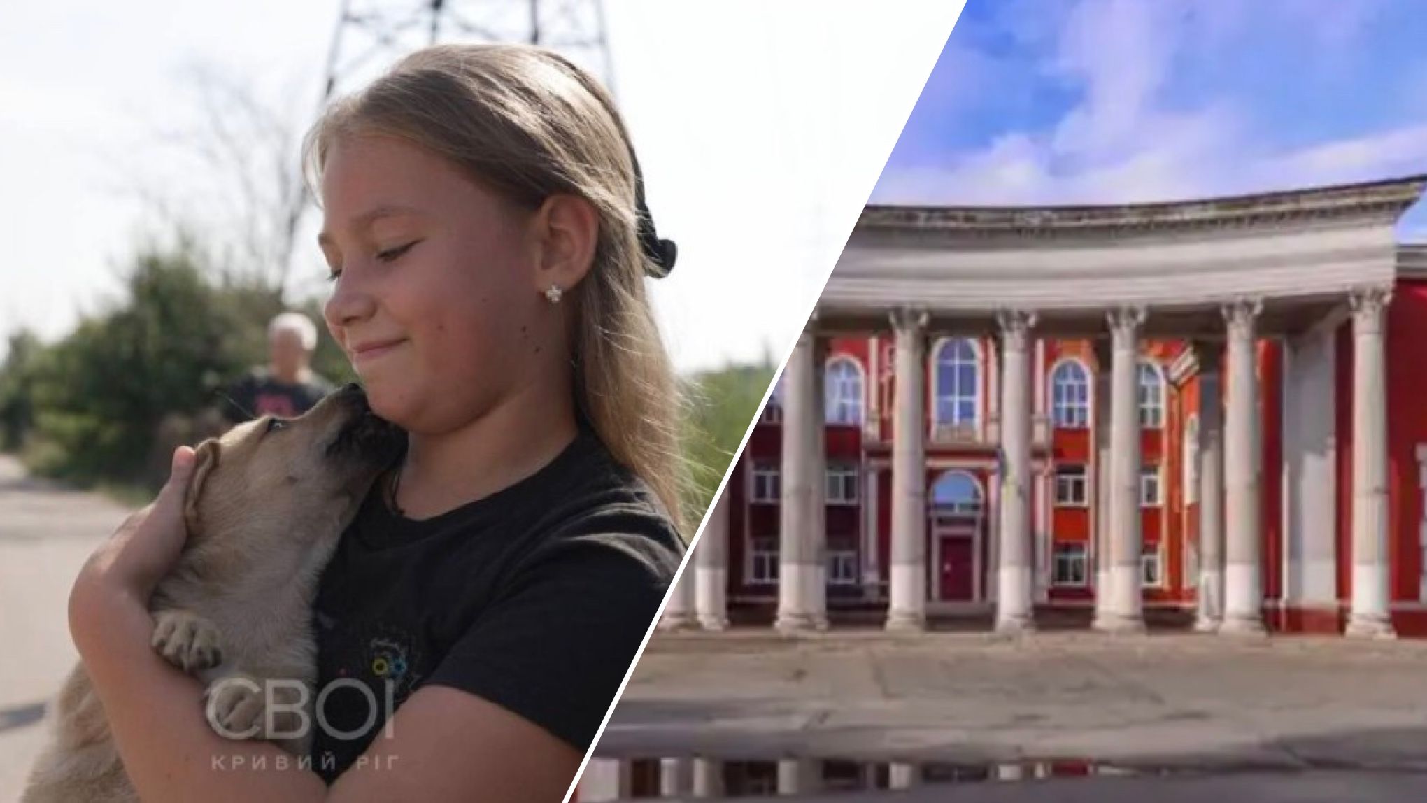 У Кривому Розі після ранкового удару постраждали тваринки У Кривому Розі після ранкового удару постраждали тваринки