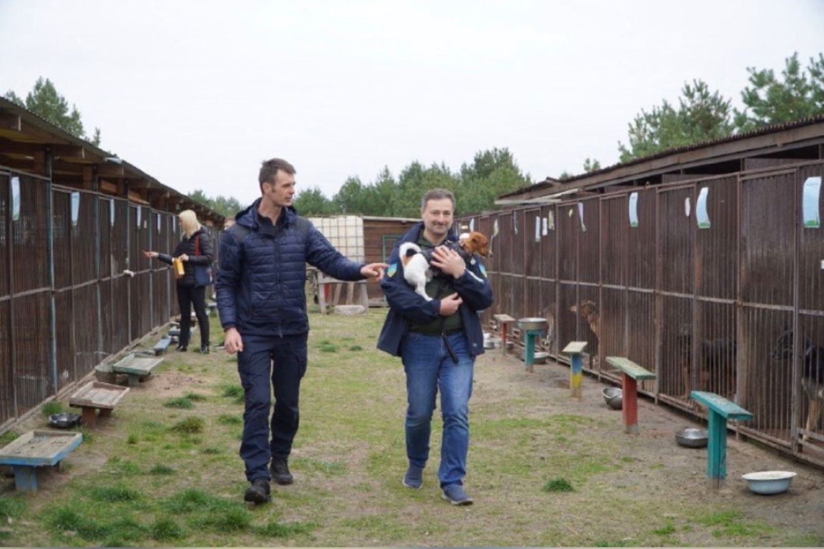 Пес Патрон помог восстановить вольеры для разрушенного убежища Пес Патрон помог восстановить вольеры для разрушенного убежища