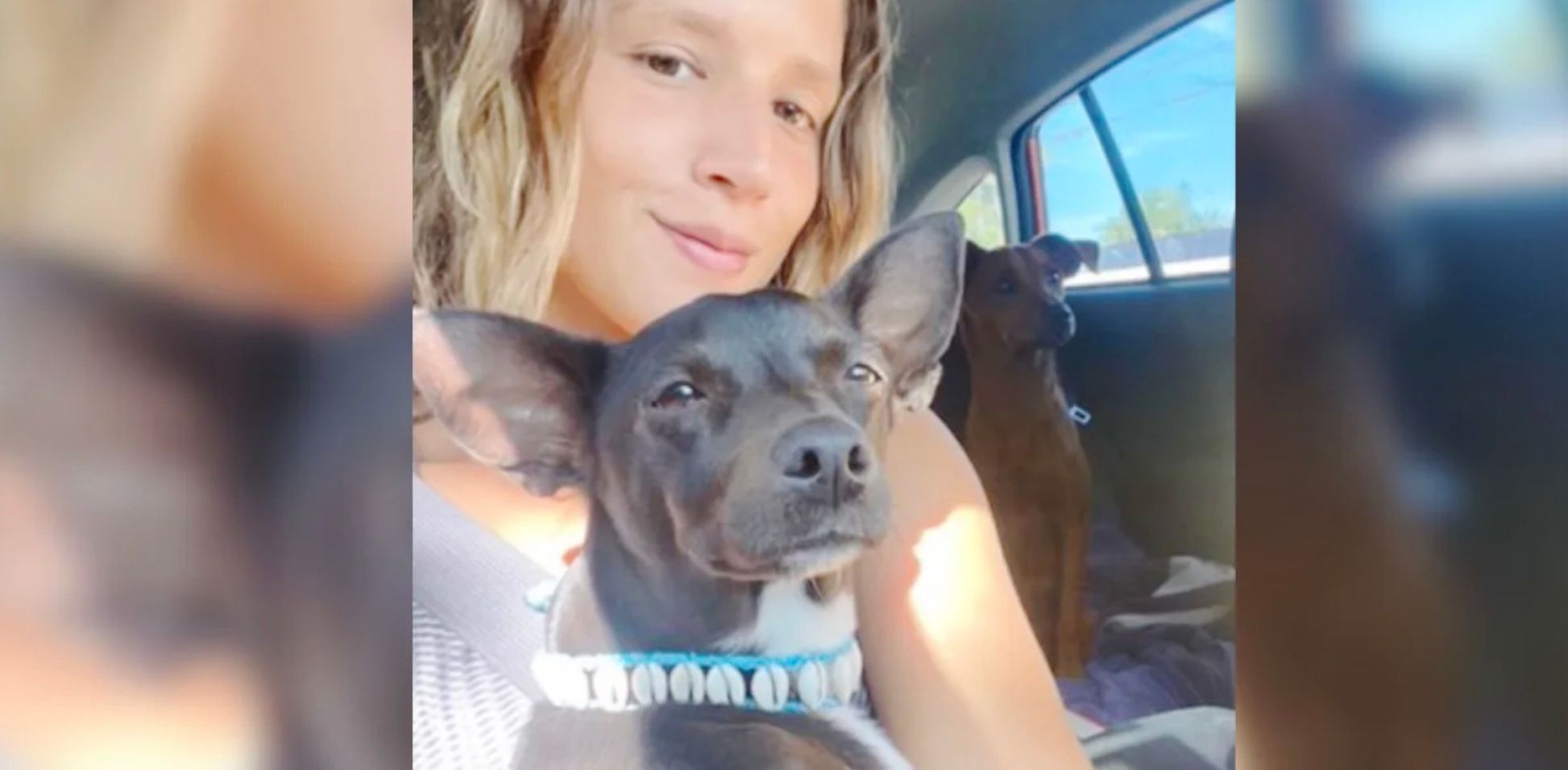 Авиакомпания потеряла собаку пассажирки на взлетной полосе Авиакомпания потеряла собаку пассажирки на взлетной полосе