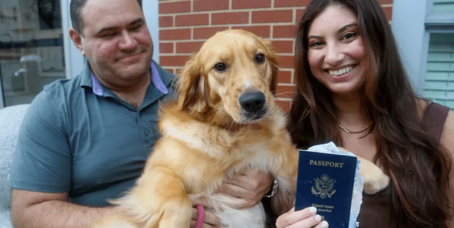 Собака згризла паспорт нареченого за тиждень до весілля