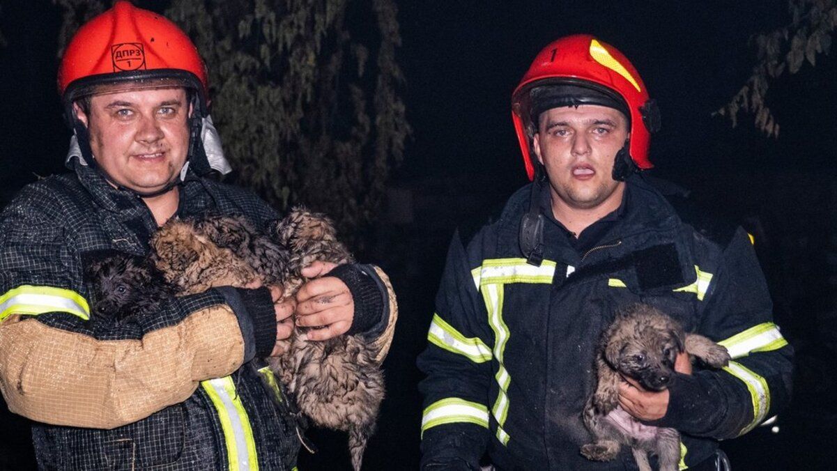 ДСНС врятували шістьох цуценят під час пожежі в Хмельницькому