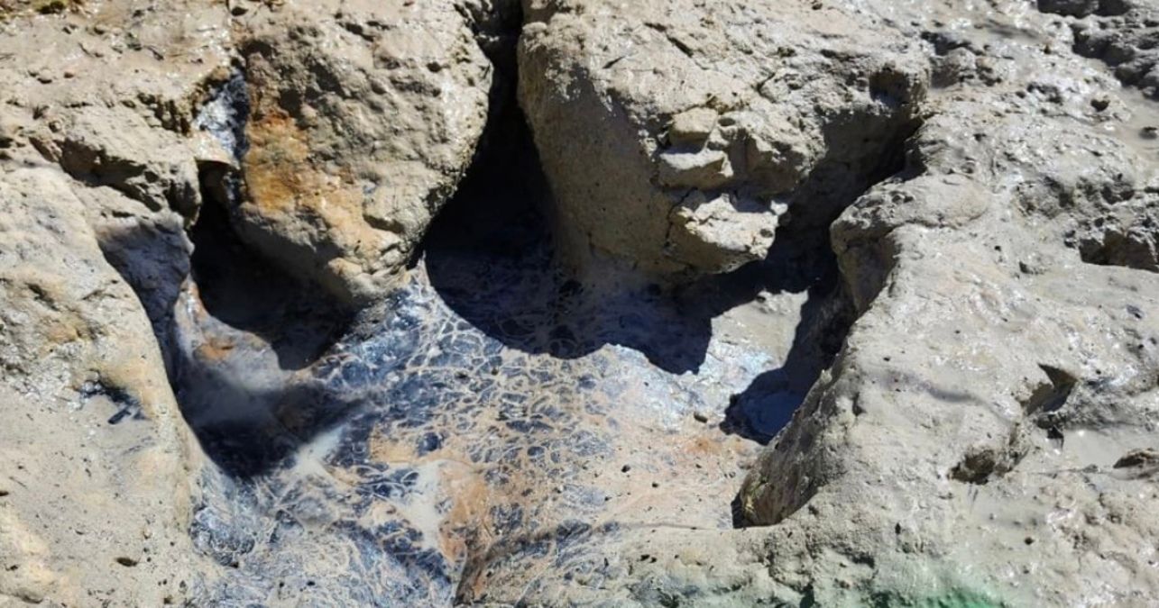 В Техасе обнаружили следы динозавров, которым более 100 миллионов лет В Техасе обнаружили следы динозавров, которым более 100 миллионов лет