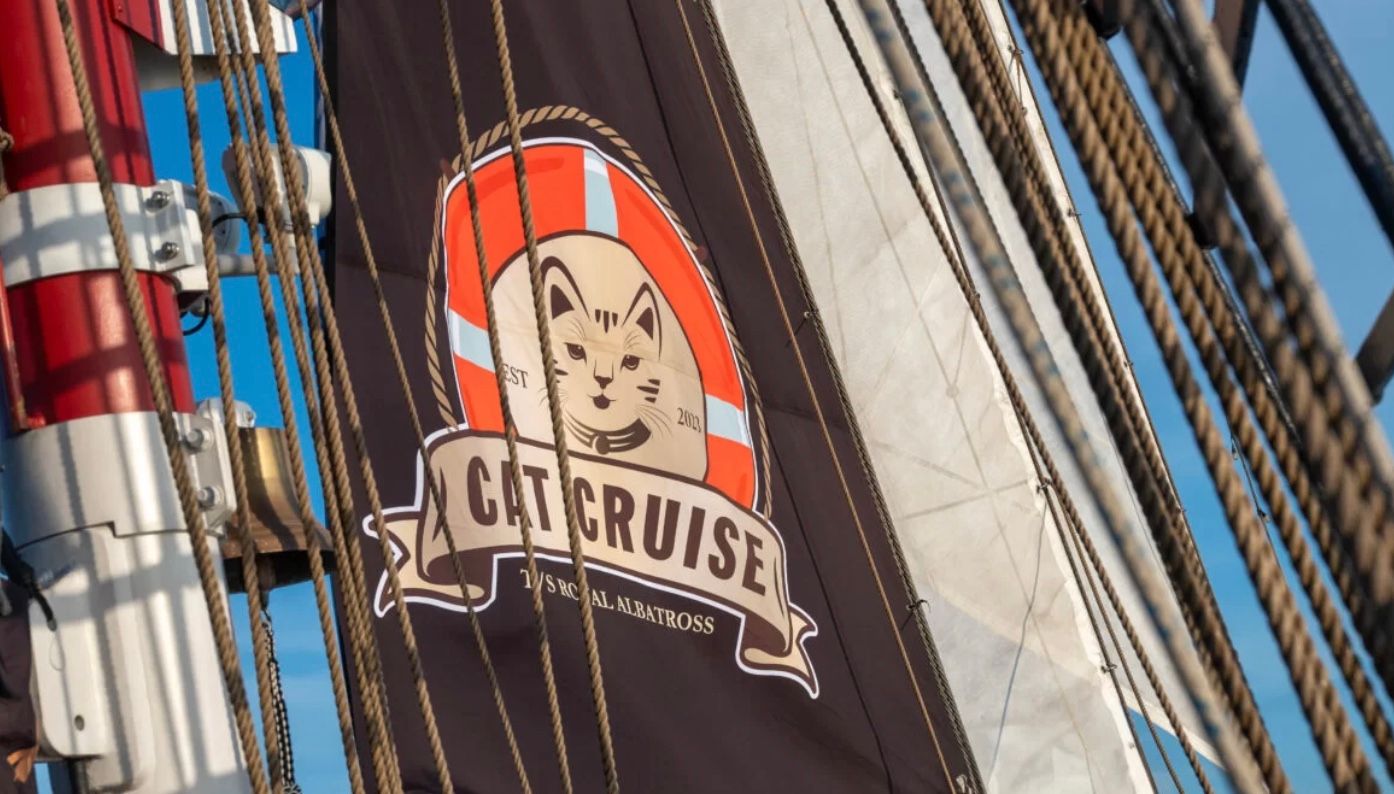 В Сингапуре запустили первый в мире "кошачий круиз"