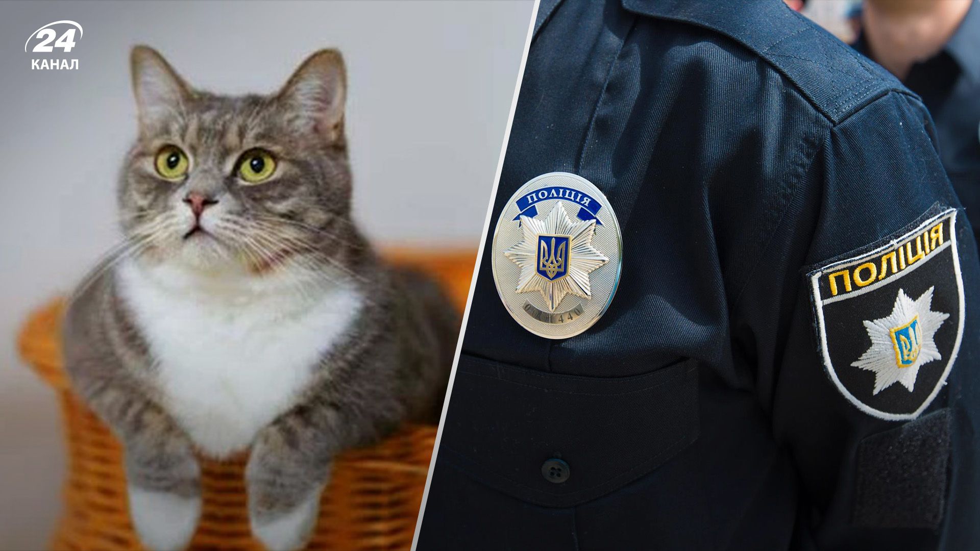 Львівські патрульні звільнили з пастки жінку, яку закрив на балконі кіт