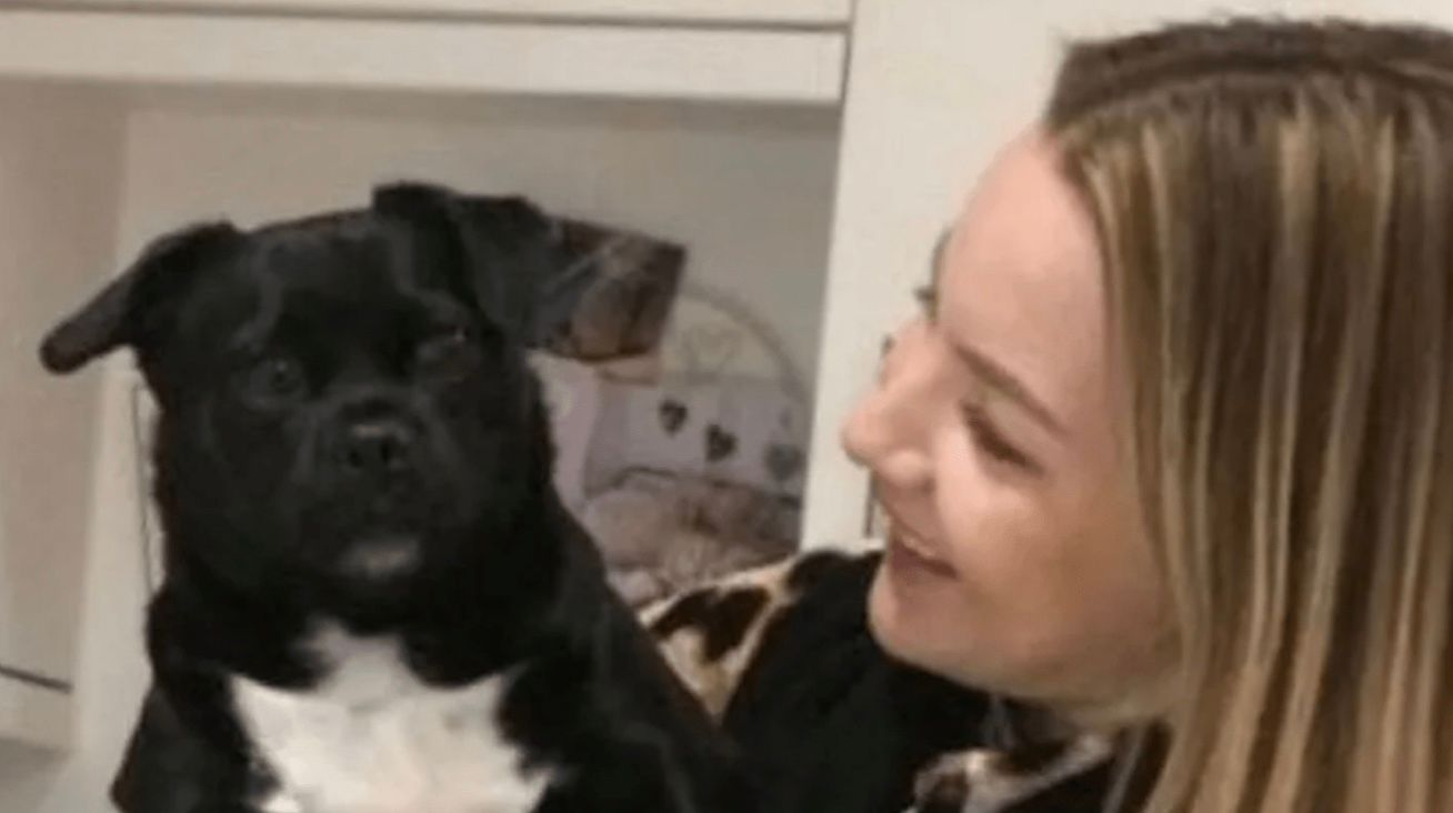 Вагітна жінка відбила свою собаку в орла Вагітна жінка відбила свою собаку в орла