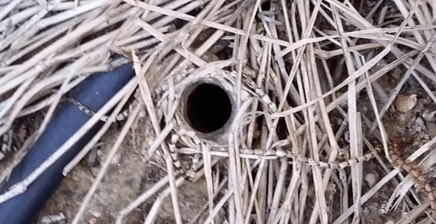 Мужчина обнаружил в своем саду странную глубокую яму размером с монету Мужчина обнаружил в своем саду странную глубокую яму размером с монету