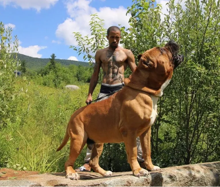 Халк зі своїм господарем