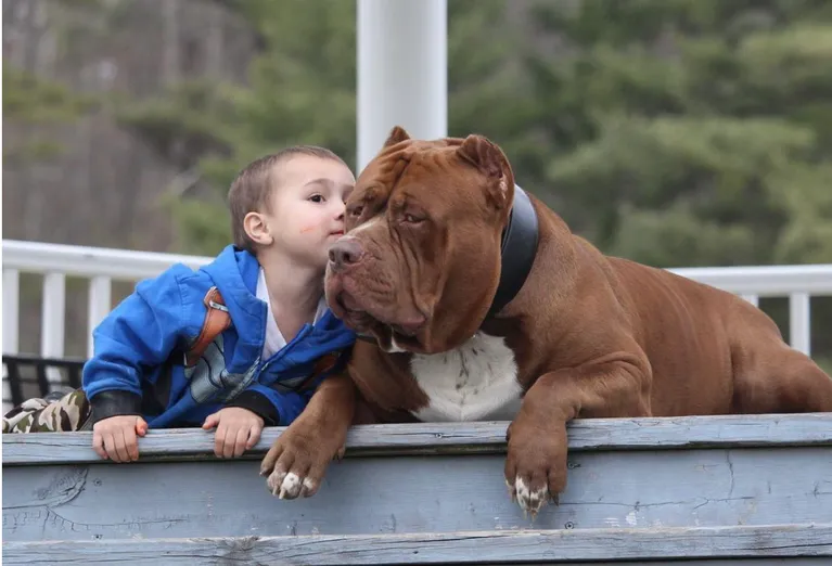 Халк поряд з малюком