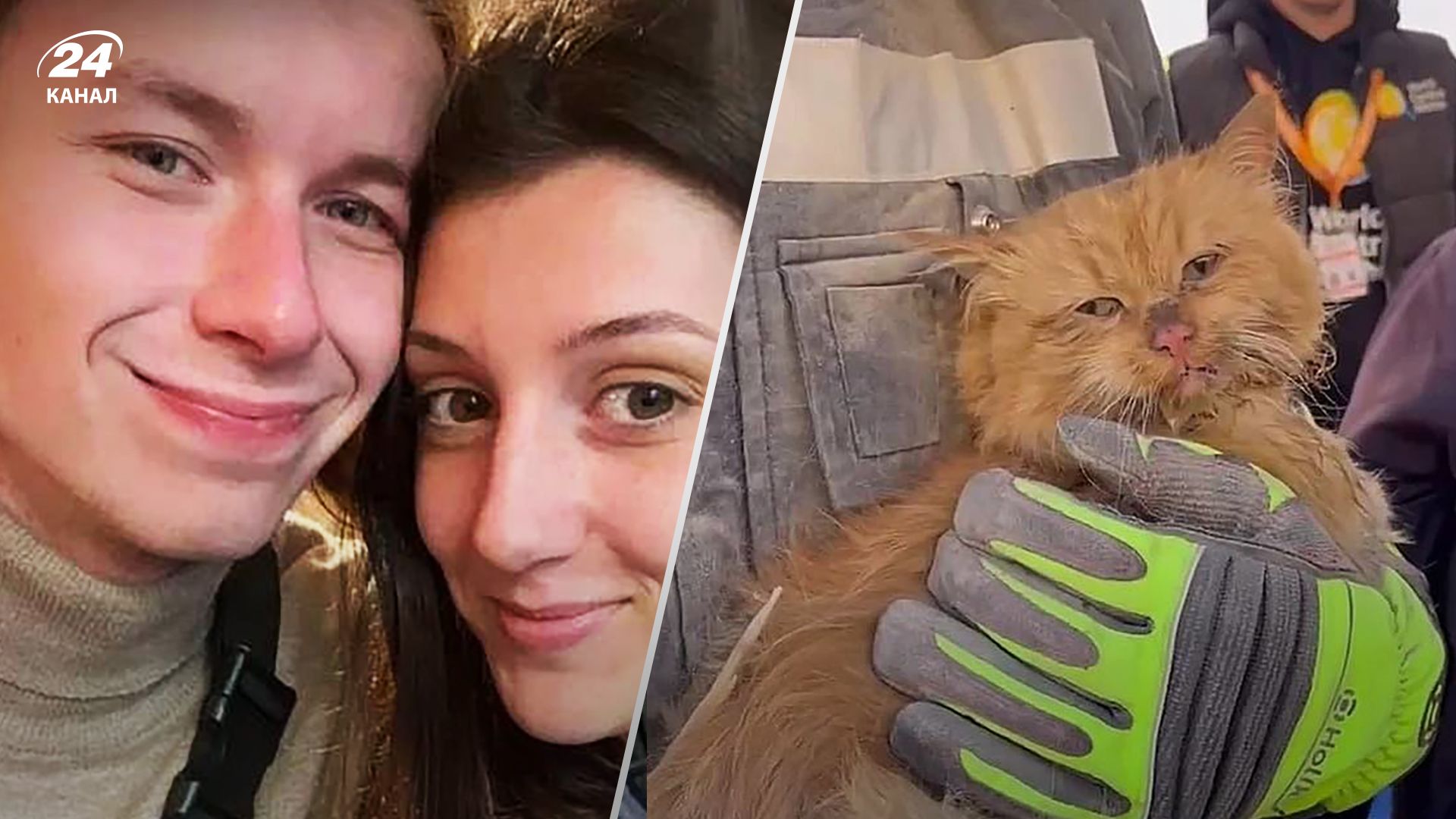 Кота Беню супруги Коваленко спасли на месте удара по многоэтажке в Запорожье Кота Беню супруги Коваленко спасли на месте удара по многоэтажке в Запорожье