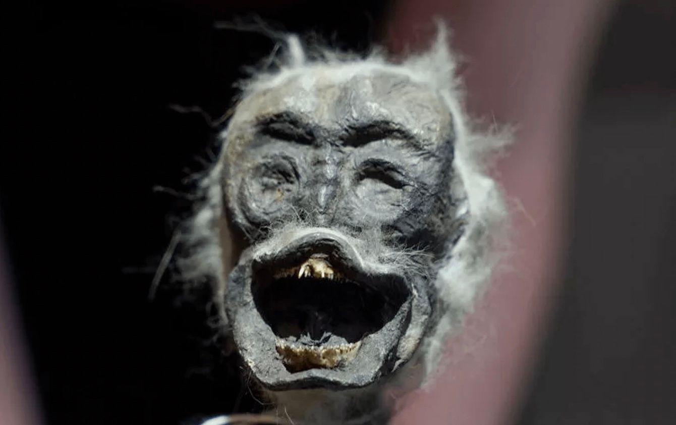 Загадкова мумія, схожа на русалку, викликає у людей страх Загадкова мумія, схожа на русалку, викликає у людей страх