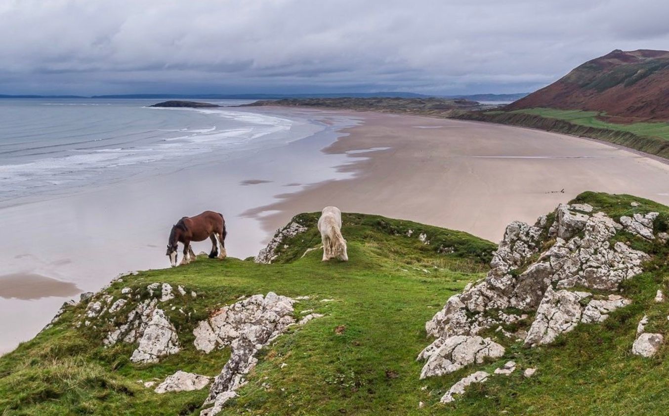 Туристы ради селфи заставили пони сорваться с обрыва Туристы ради селфи заставили пони сорваться с обрыва