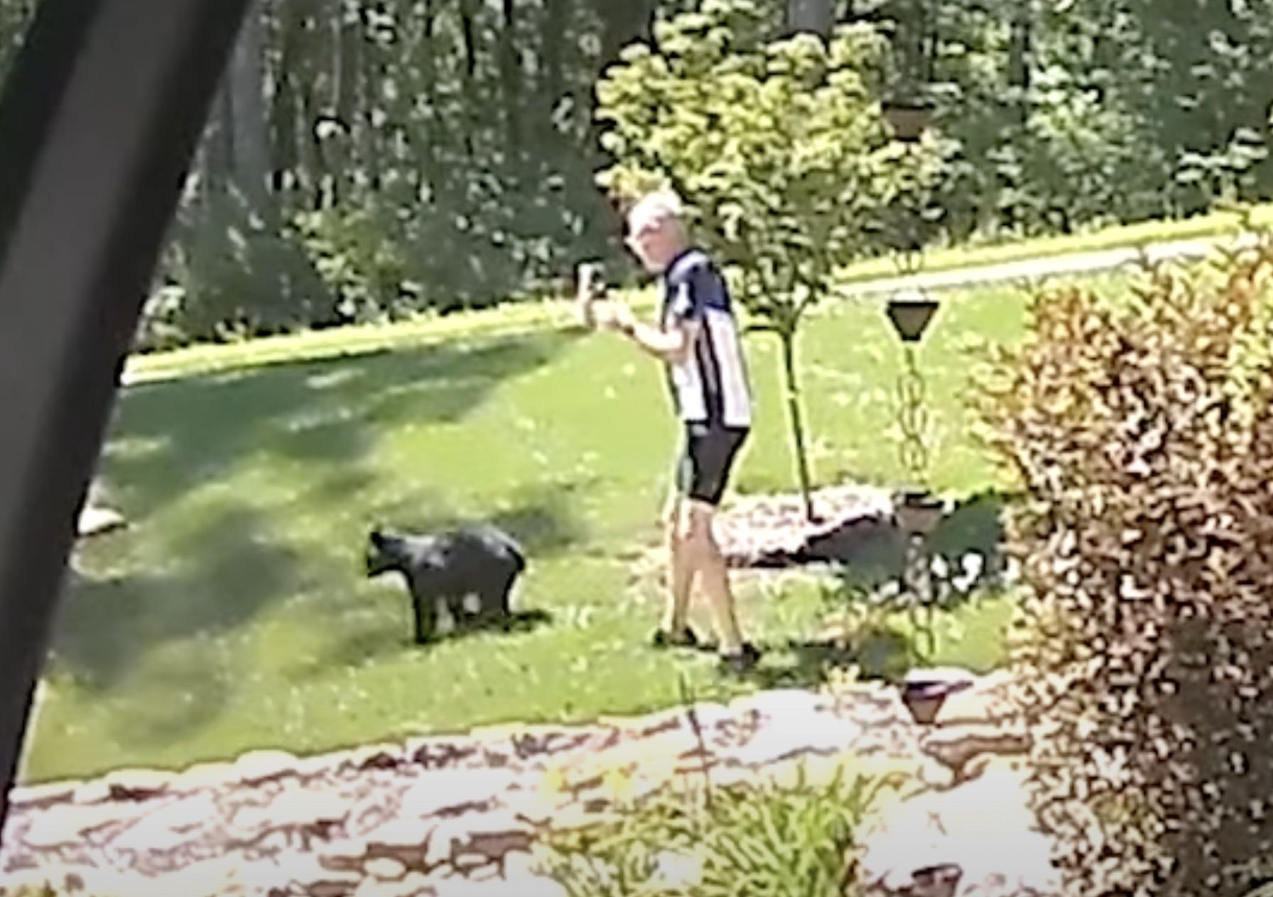 Медвежонок испугал парня пока тот снимал его маму и братьев Медвежонок испугал парня пока тот снимал его маму и братьев