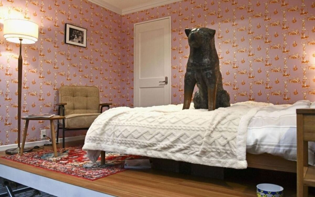 В Японии вокруг статуи Хатико построили комнату В Японии вокруг статуи Хатико построили комнату