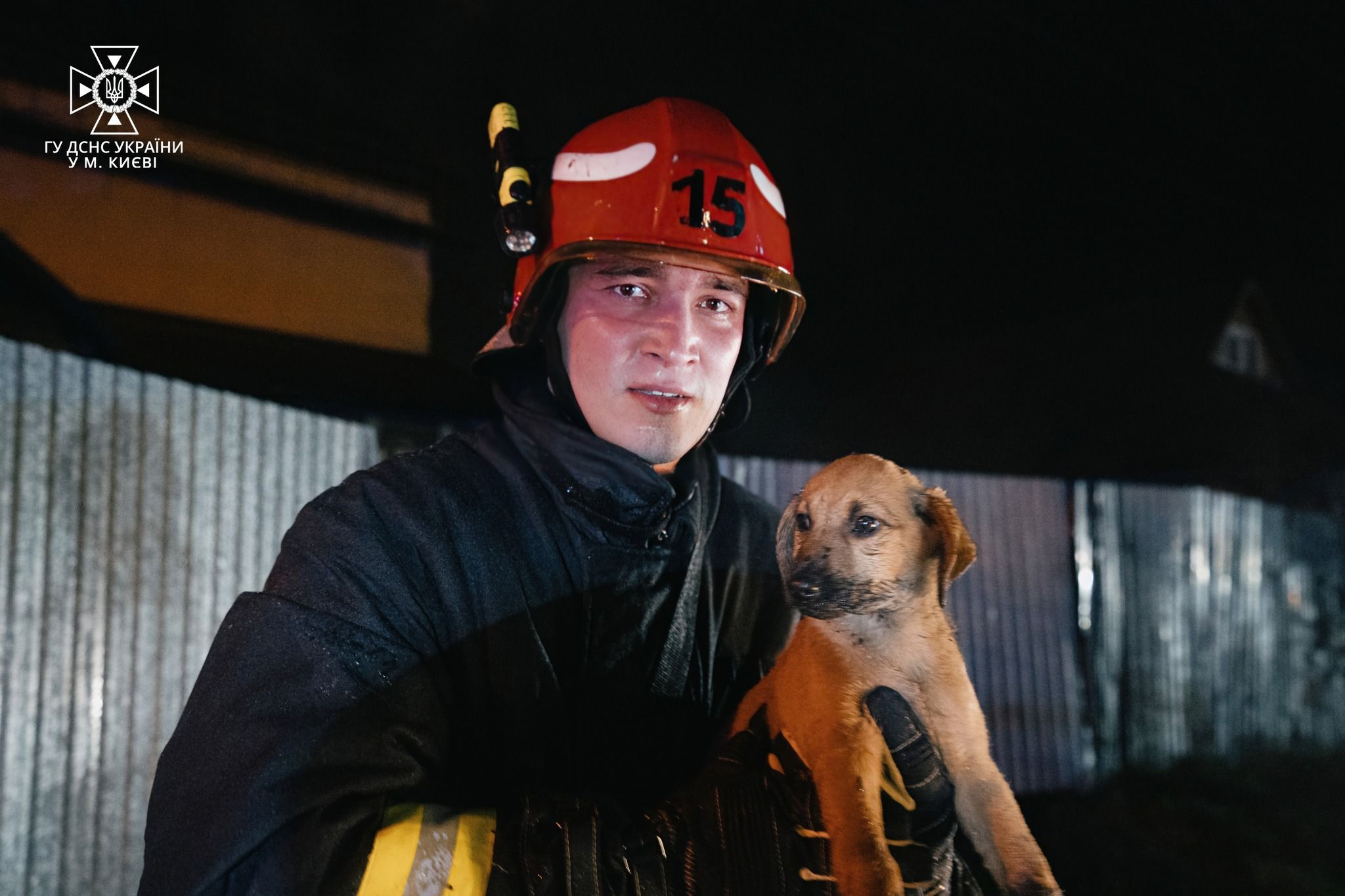 У Києві під час пожежі в будинку ДСНС врятували цуценя та кошеня