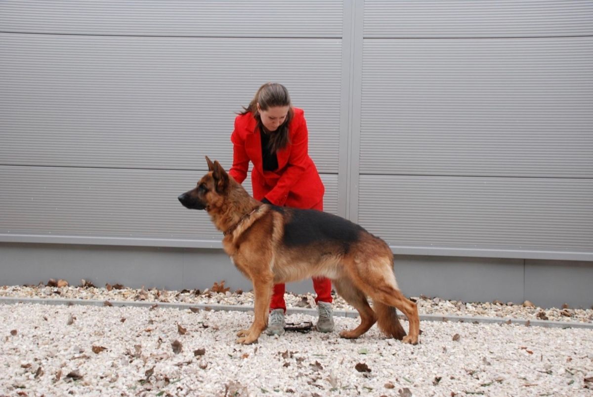 Пес Карбон із господаркою Пес Карбон із господаркою