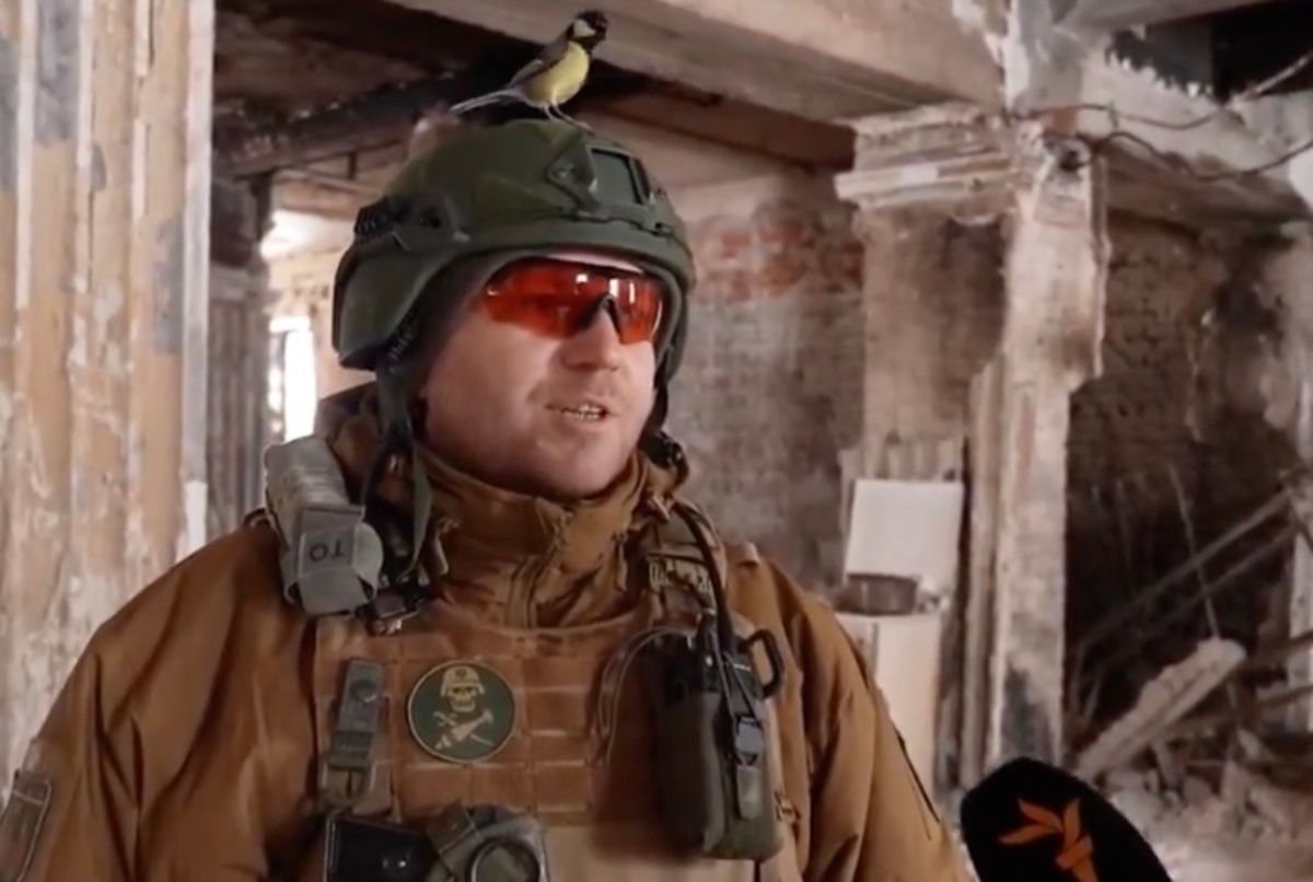 Синичка сіла на голову бійця ЗСУ просто під час інтерв'ю Синичка сіла на голову бійця ЗСУ просто під час інтерв'ю