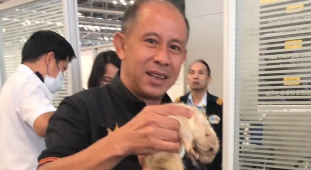 Пассажир с выдрами в трусах разогнал панику в аэропорту Пассажир с выдрами в трусах разогнал панику в аэропорту