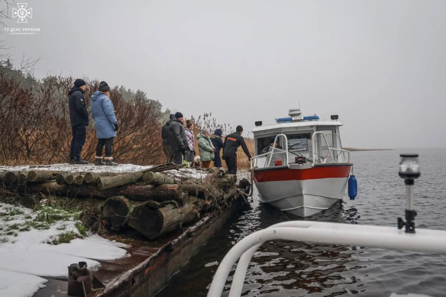 С острова Вишняки спасли животных С острова Вишняки спасли животных