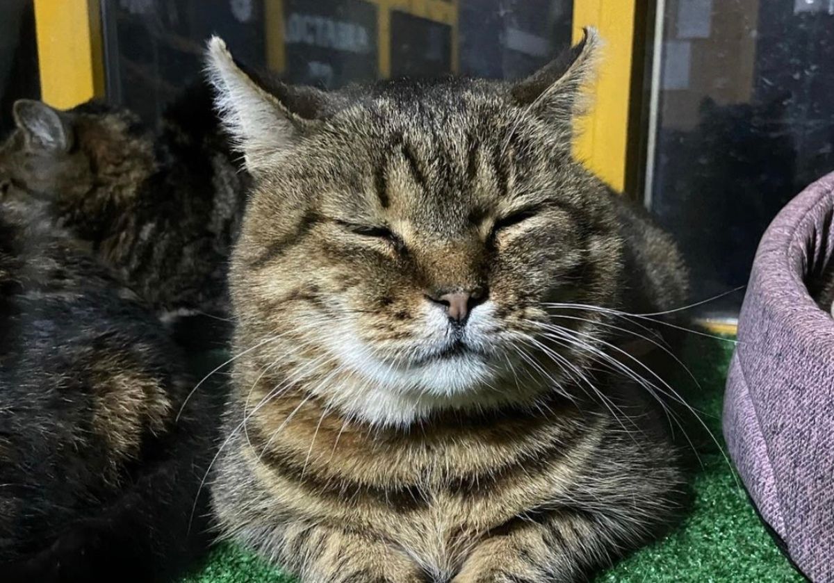 Жовтень не пережил ракетную атаку РФ по Киеву Жовтень не пережил ракетную атаку РФ по Киеву