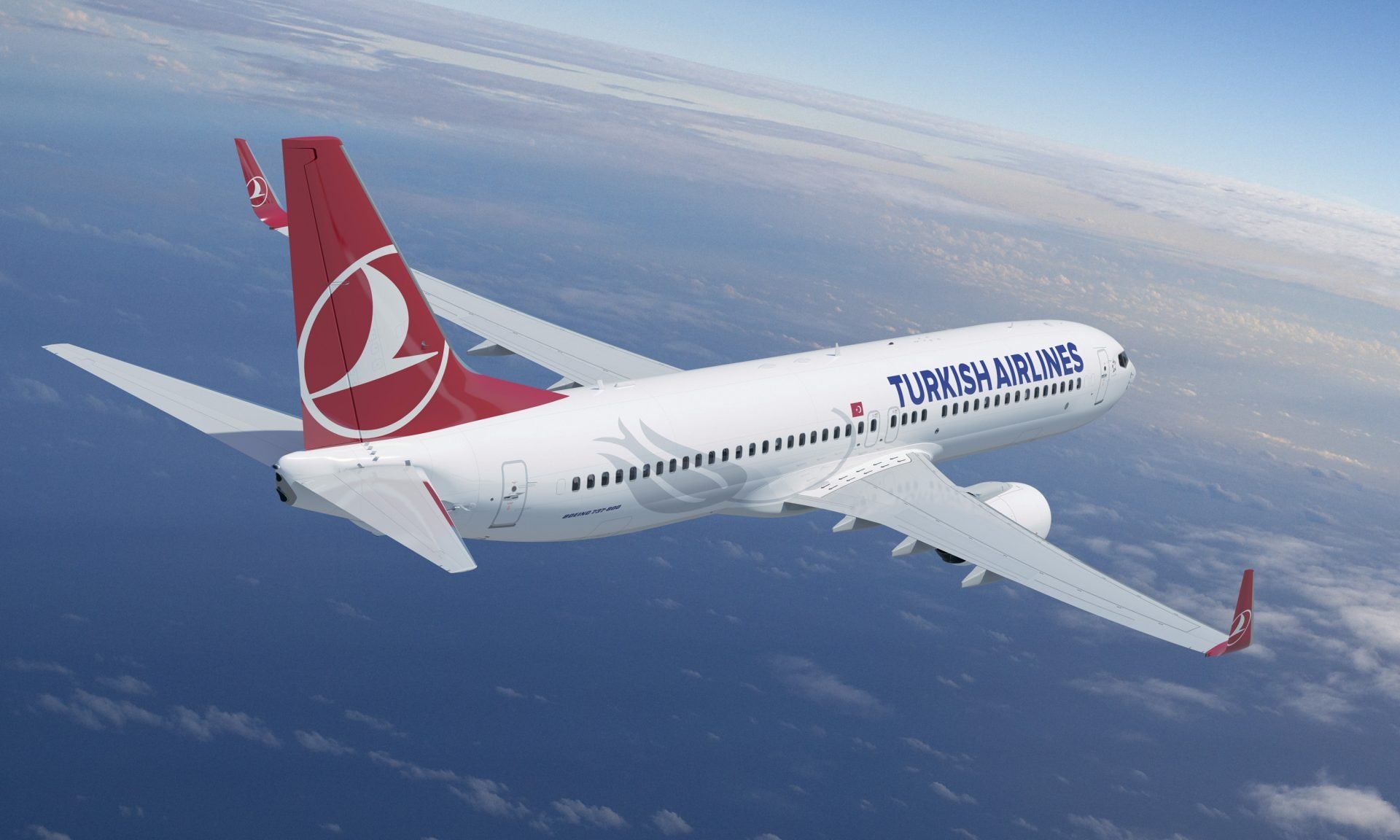 Літак Turkish Airlines перервав зліт через кота Літак Turkish Airlines перервав зліт через кота