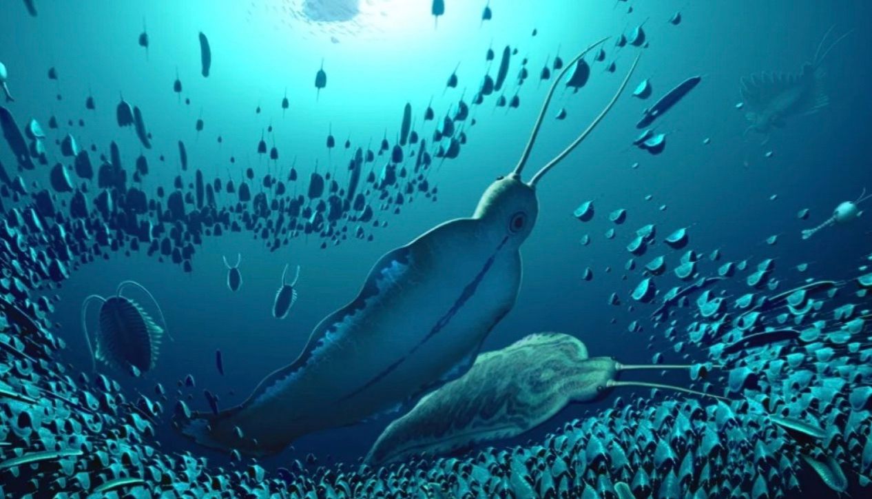 Гігантські Тиморебестії в кембрійський період становили таку ж загрозу, як акули Гігантські Тиморебестії в кембрійський період становили таку ж загрозу, як акули