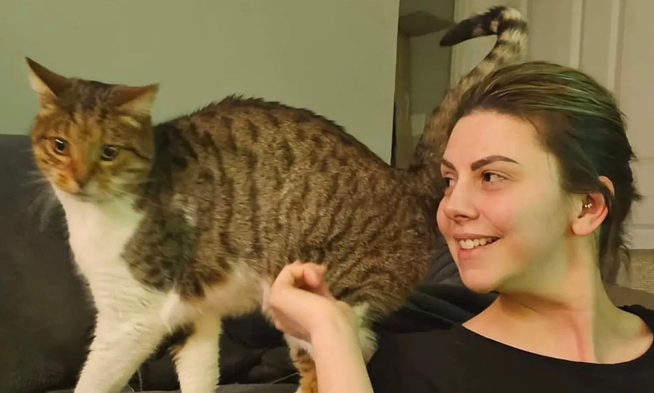 Кіт повернувся додому через 7 років після зникнення