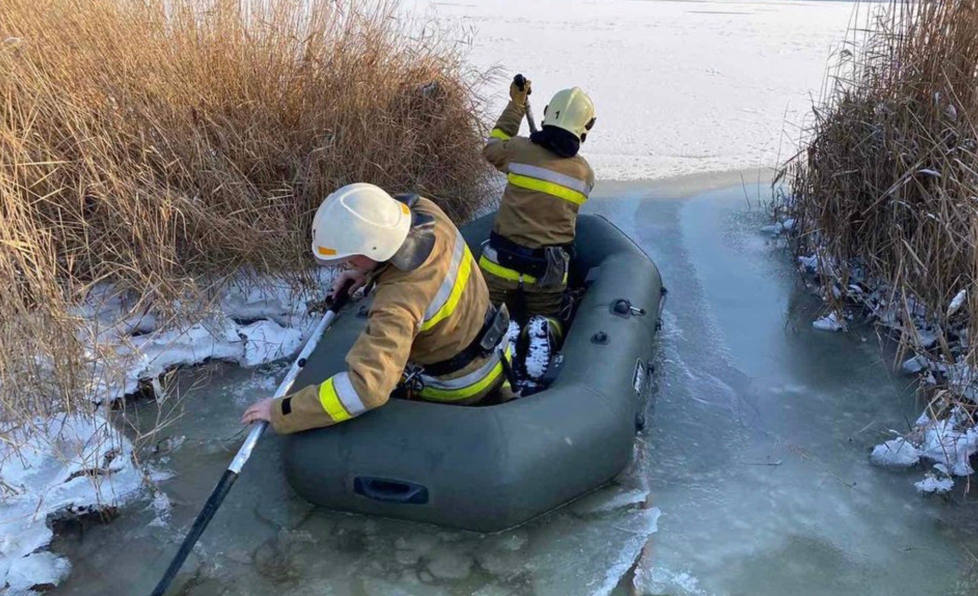 Рятувальники прямують за собакою на човні Рятувальники прямують за собакою на човні
