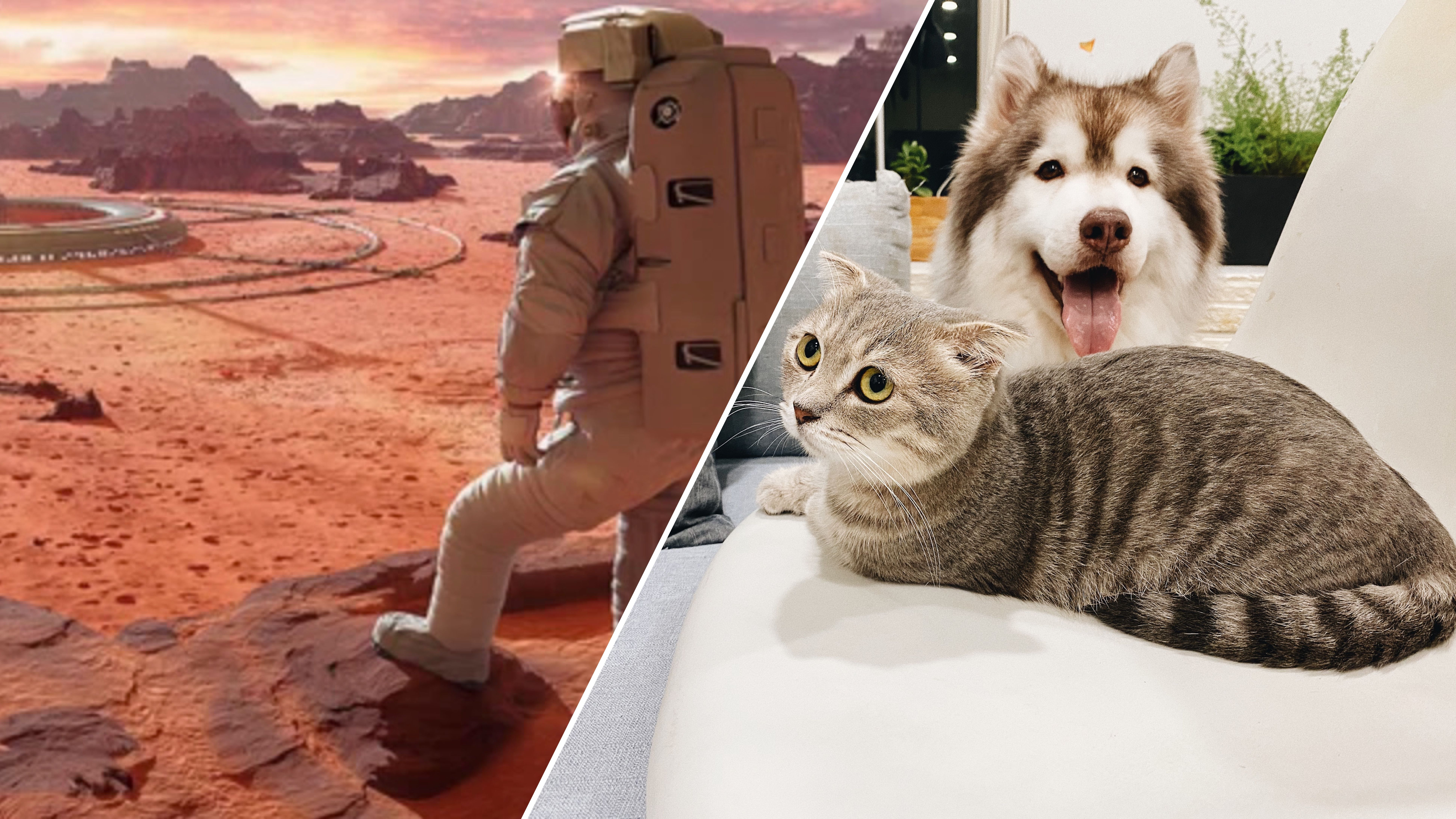 NASA за 6 лет планирует отправить на Луну и Марс животных NASA за 6 лет планирует отправить на Луну и Марс животных