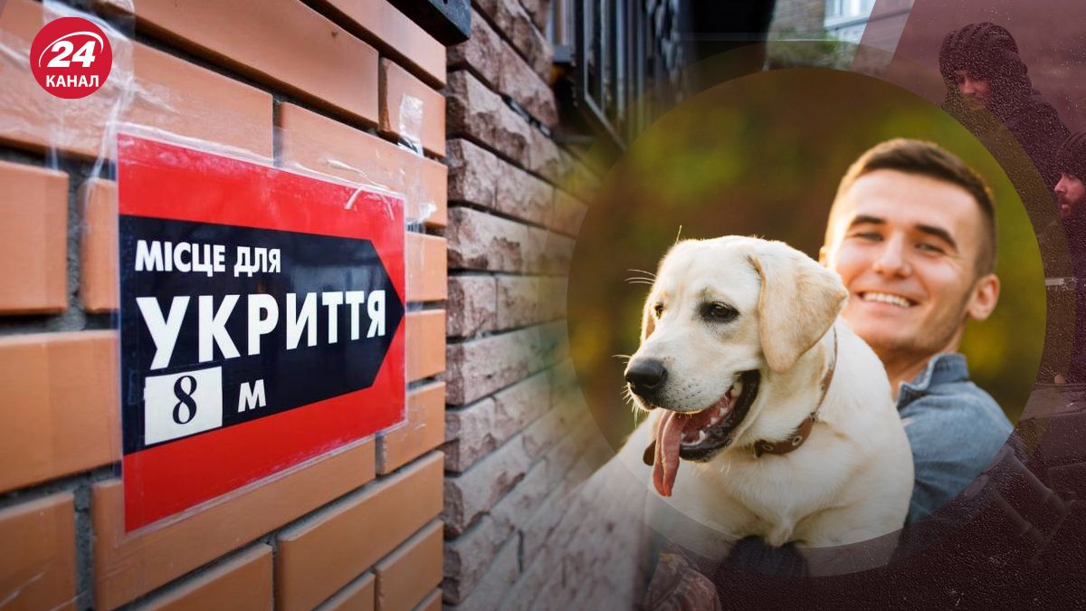 В укрытие разрешили брать животных В укрытие разрешили брать животных