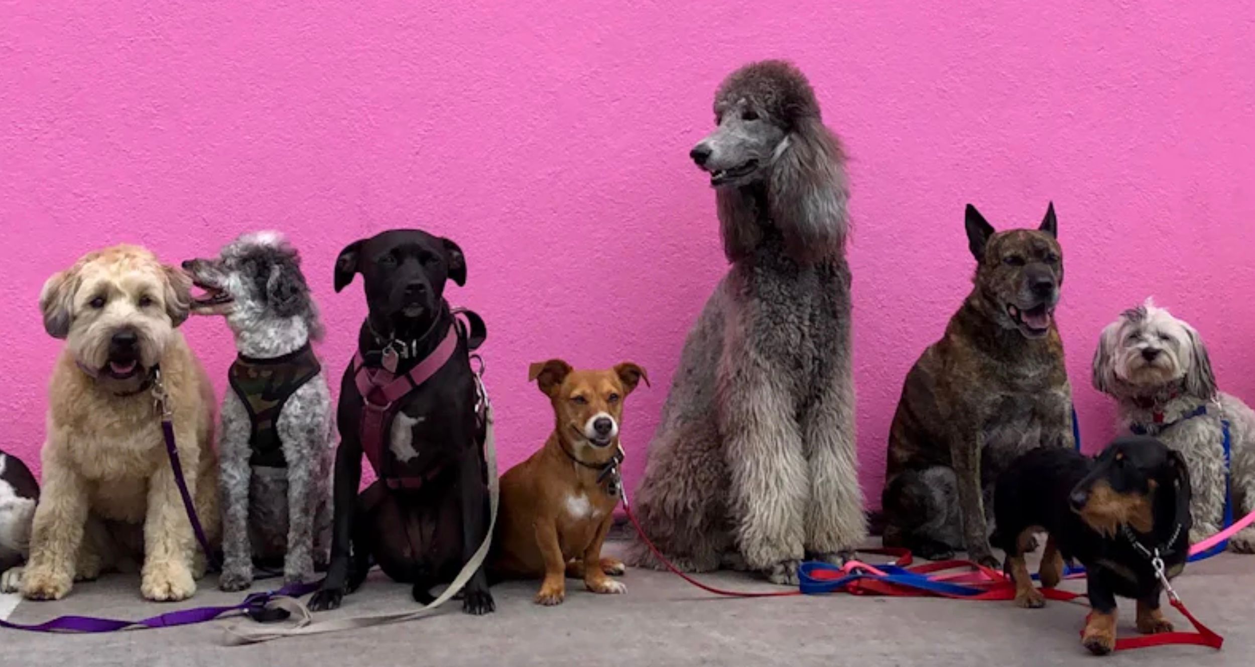 Тест, який розповість що нового у вашому характері Тест, який розповість що нового у вашому характері