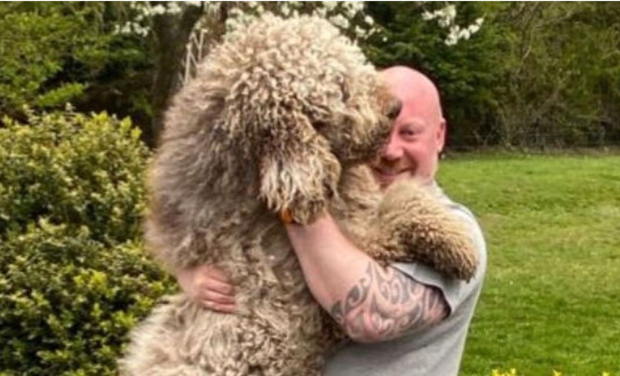 Собака, зростом з людину, досі вважає себе цуценям Собака, зростом з людину, досі вважає себе цуценям