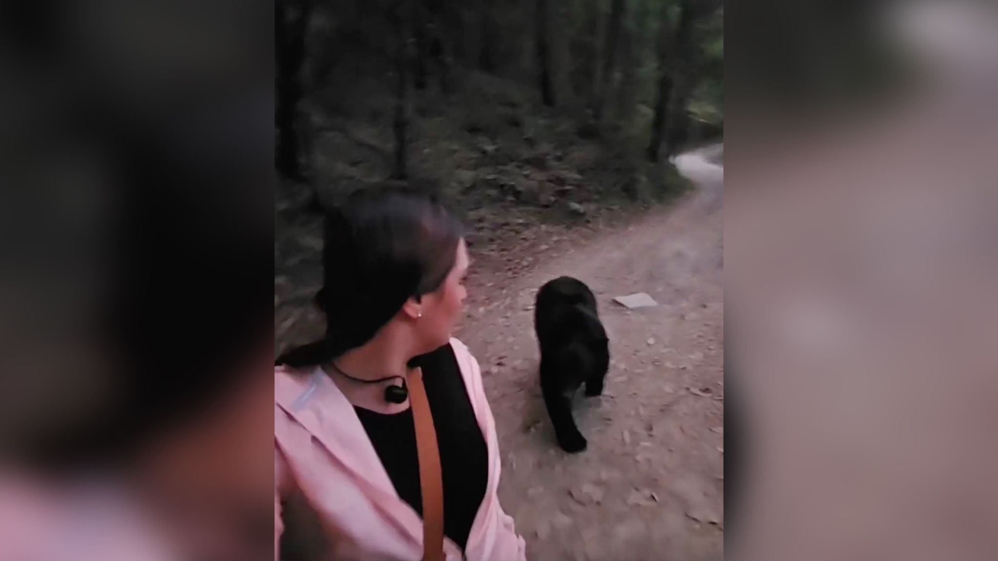 Блогерша наткнулась на дикого медведя во время прогулки по парку