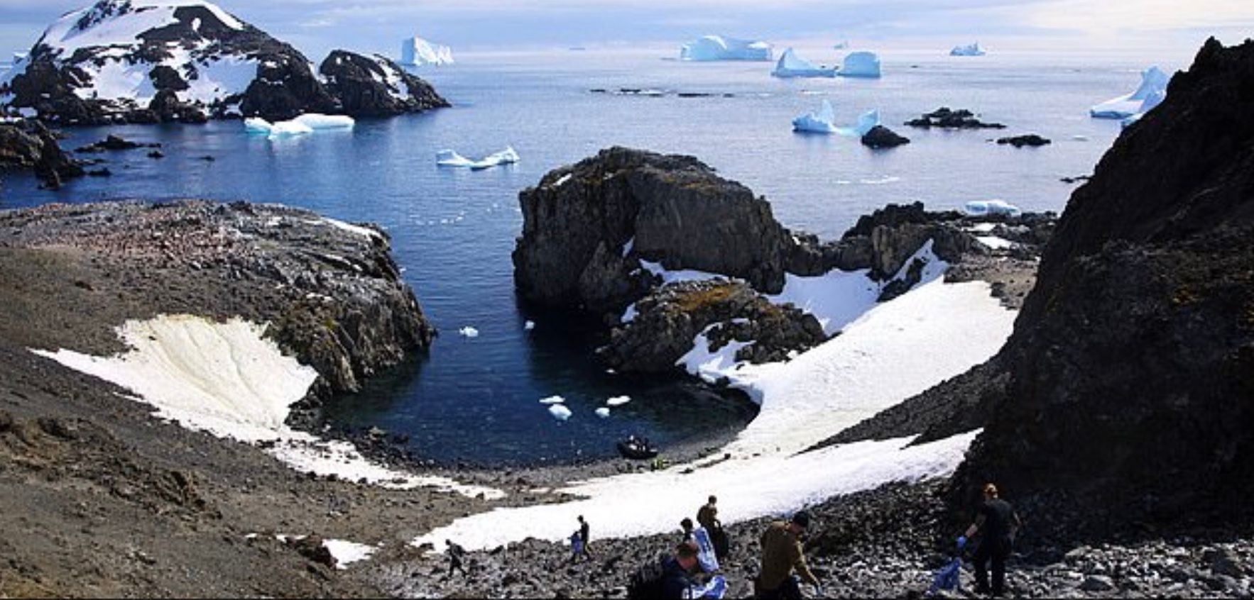 З Антарктиди вивезли 3 тонни сміття під наглядом пінгвінів